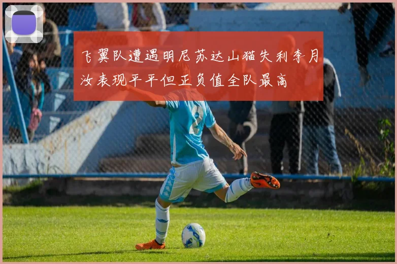 飞翼队遭遇明尼苏达山猫失利李月汝表现平平但正负值全队最高